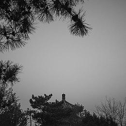 与腾讯签署合作协议 长虹佳华宣布成为国行Switch大陆总代理